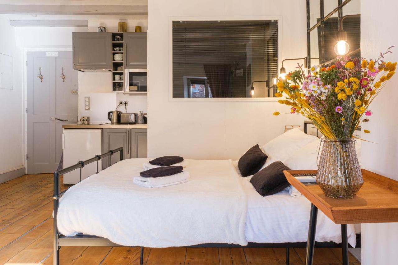 Au Grey D'Annecy, Studio Cosy Au Coeur De La Ville מראה חיצוני תמונה